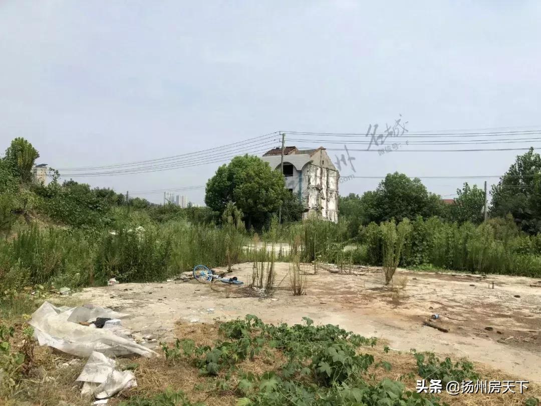 扬州东区高中规划,扬州最近有哪些大型商场即将开业