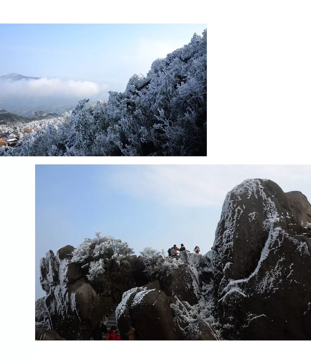 九仙山雾凇1到6度能看到吗,今天九仙山有雾凇吗