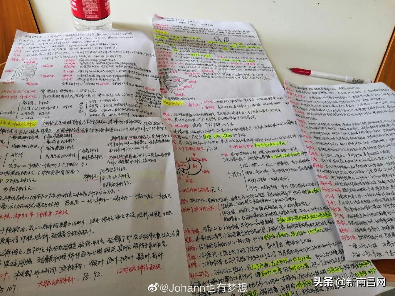 江西中医药大学回忆,现在的江西中医药大学