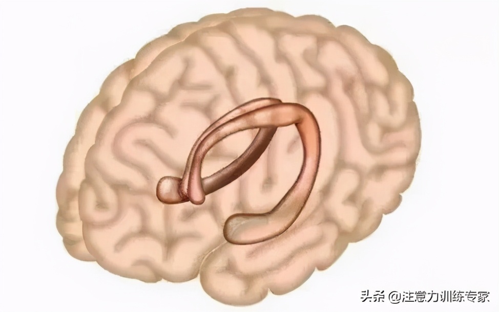 一考试就紧张脑子一片空白,怎么解决一考试就大脑一片空白