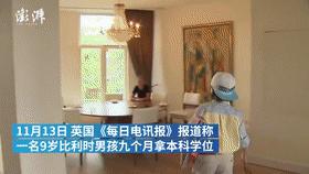 古稀老年人画,叶脉造型画