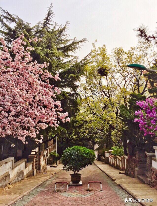 大连八七疗养院战友,大连市八七疗养院的故事