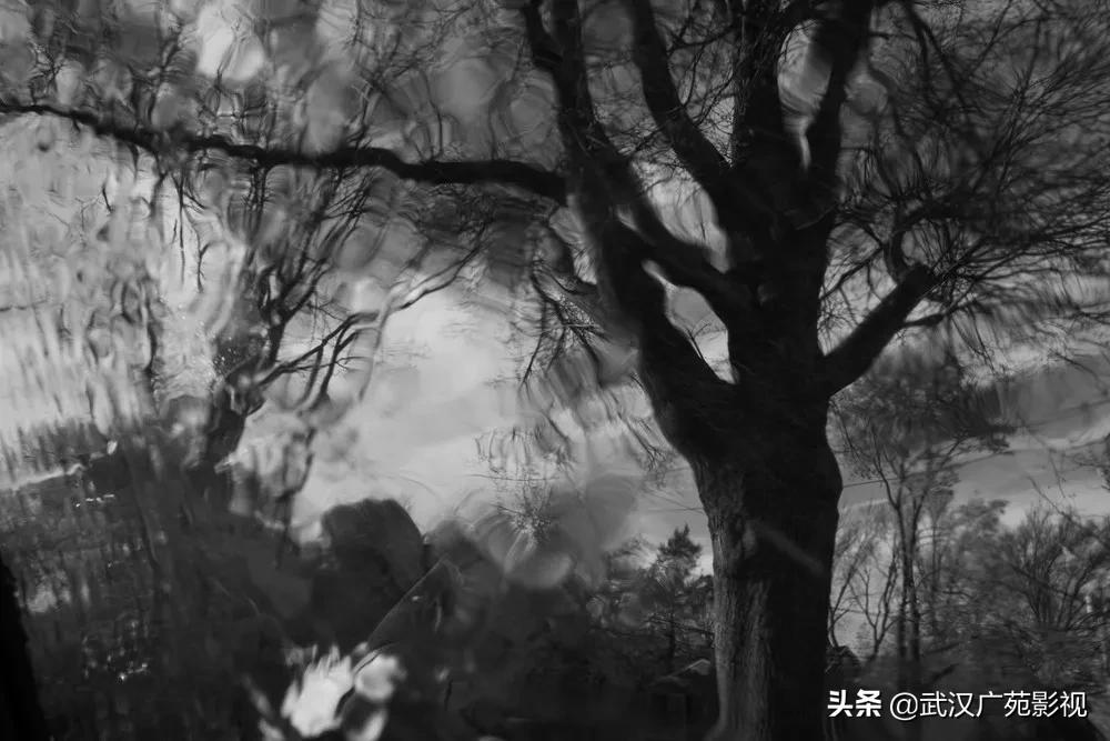 黑白摄影艺术魅力,黑白摄影的魅力可谓精妙绝伦