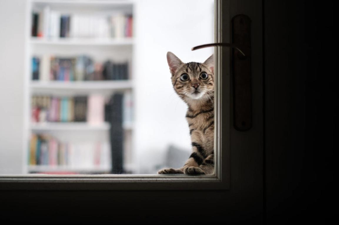 raise和rise动词过去式区别,ariseriseraisearouse的区别