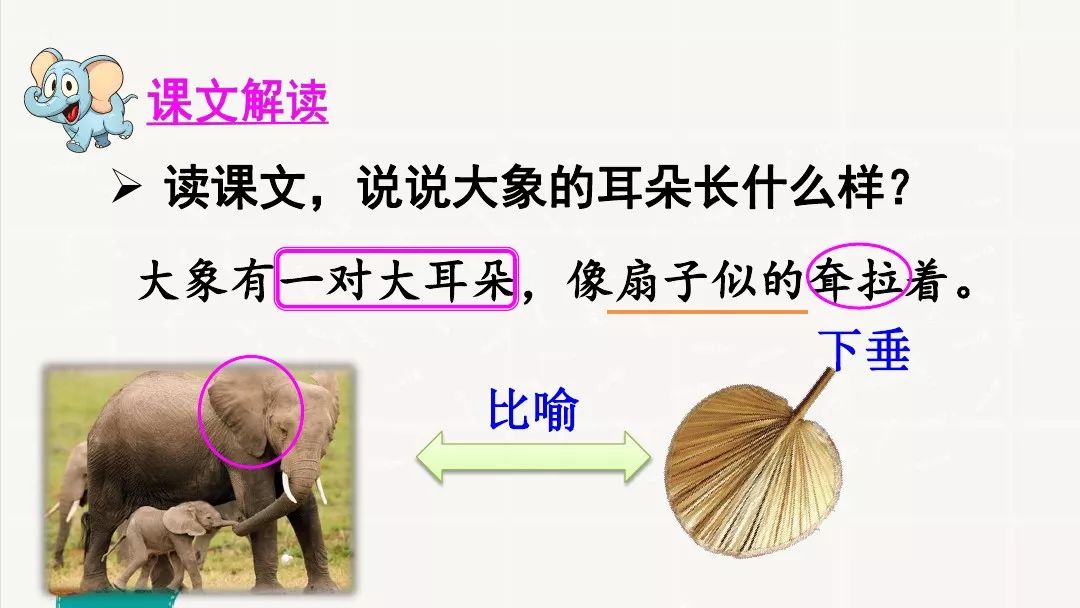 二年级下语文大象的耳朵动画片,部编版二年级下册语文大象的耳朵
