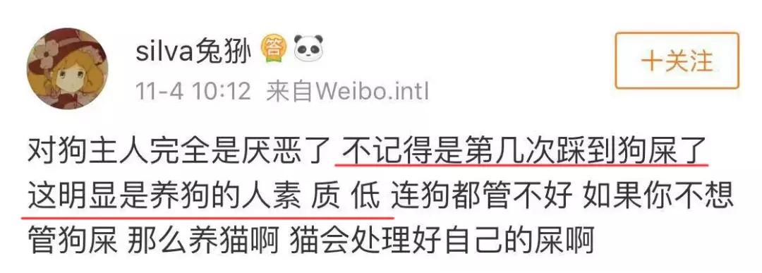 养狗条例晚上能小区遛狗吗,最严养狗令最新消息