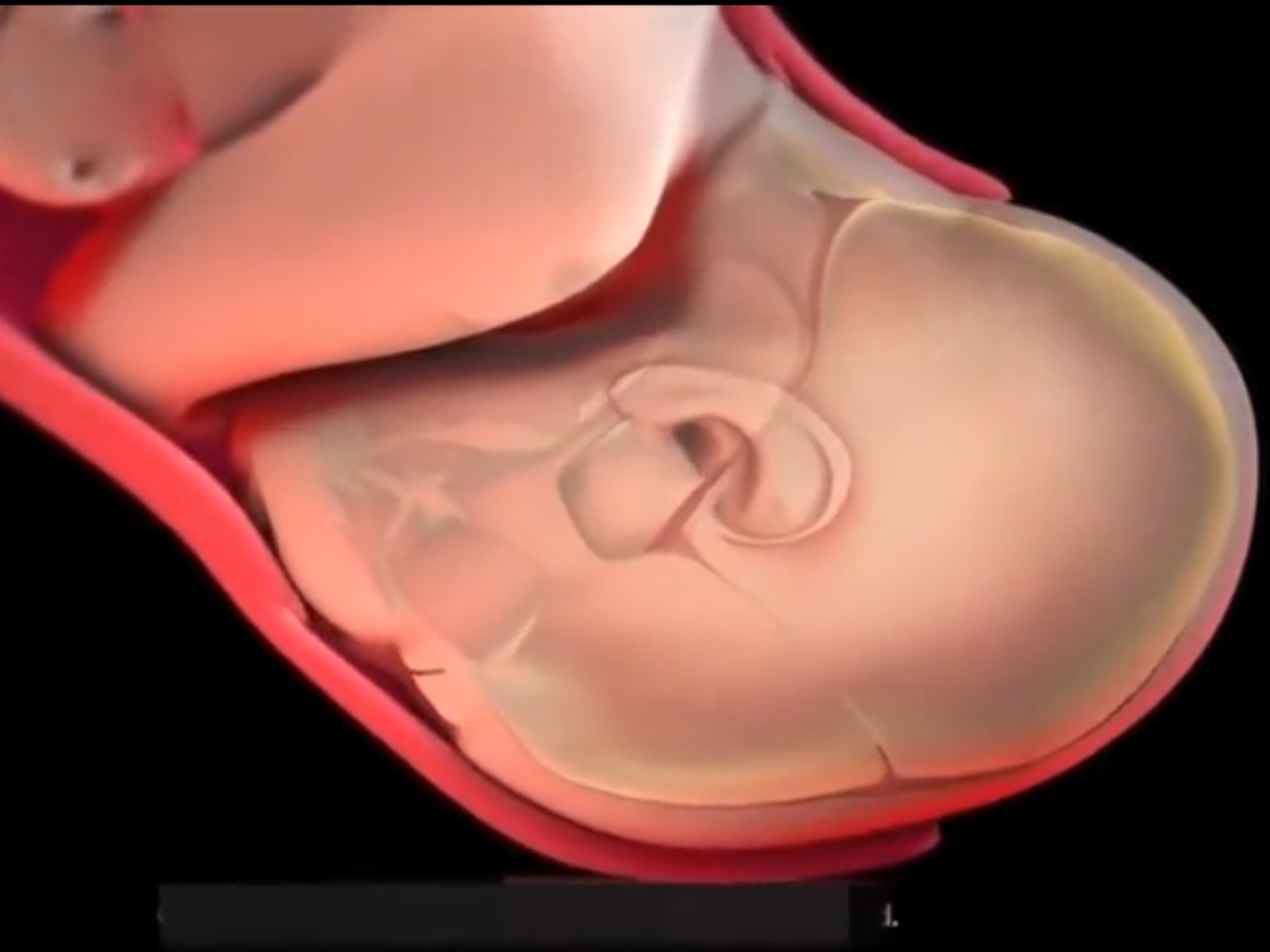 顺产全部过程是什么,顺产的整个过程要经历什么