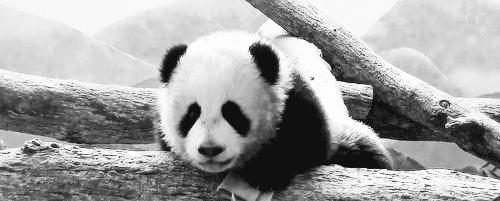 熬夜熬出黑眼圈怎么解决,熬夜熬出了眼袋黑眼圈