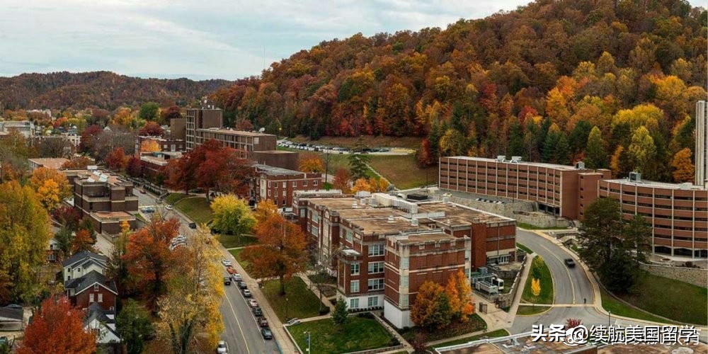 美国留学名校解析：密歇根州立大学，最值得的大学