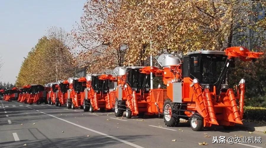 鐢樿敆鐢滆湝鐨勮儗鍚庢湁杈涢吀,鐢樿敆鍒剁硸鐨勫巻鍙茬殑鏁呬簨