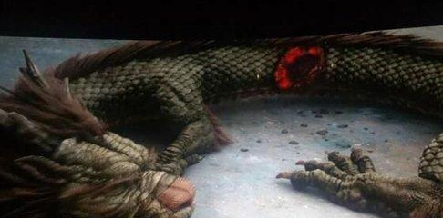 辽宁营口坠龙事件听说过吗,辽宁营口坠龙事件到底是真是假