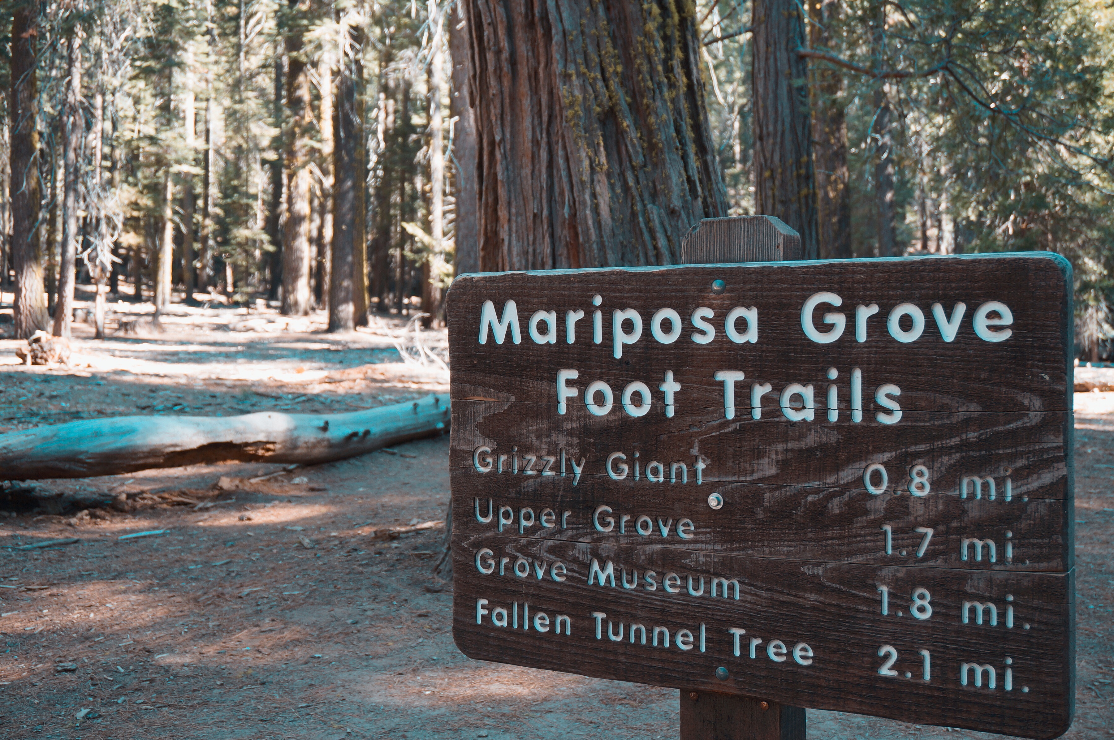 优胜美地的酋长岩,优山美地公园酋长岩