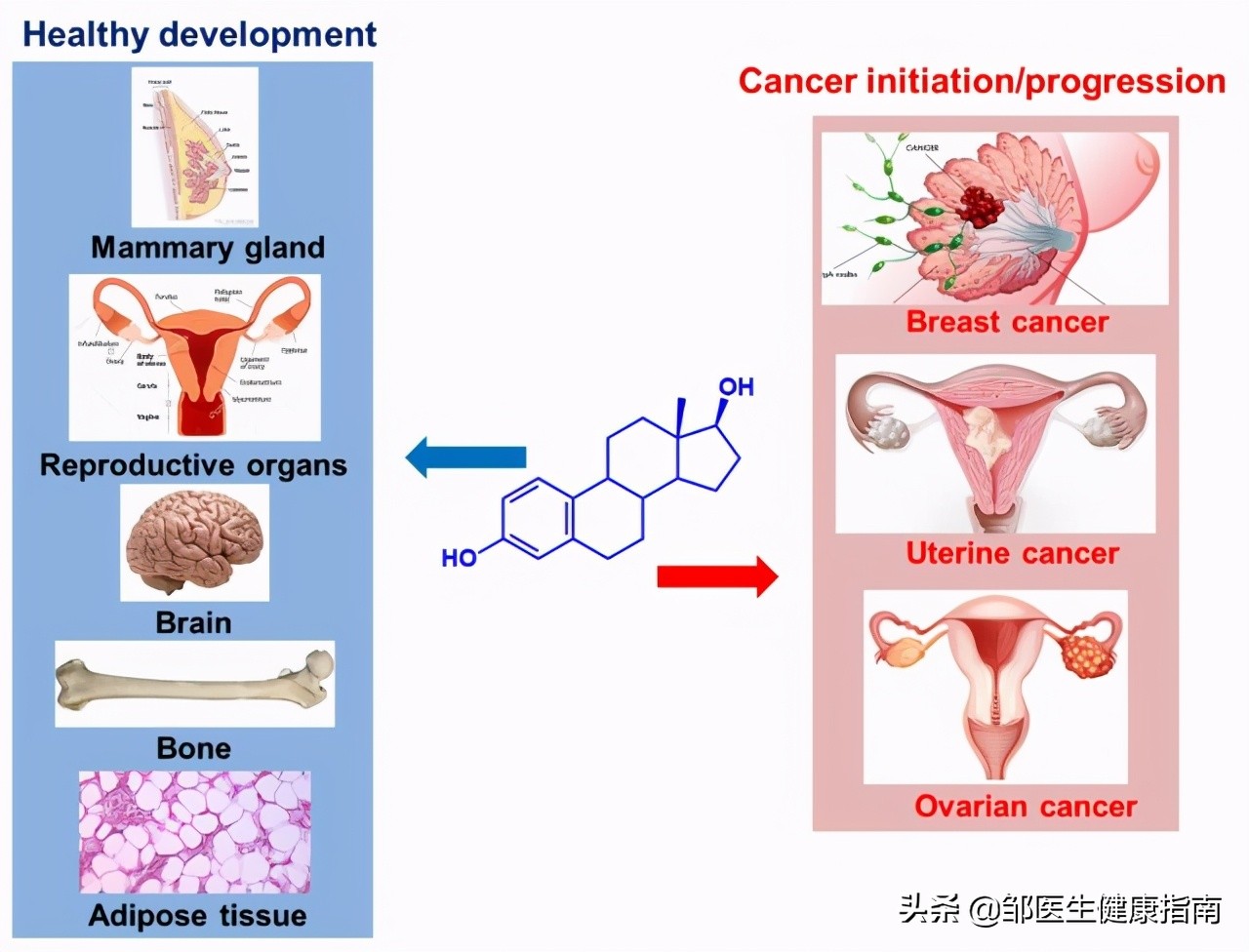 为什么说女人50是个坎,55岁下肢无力而且疼是怎么回事