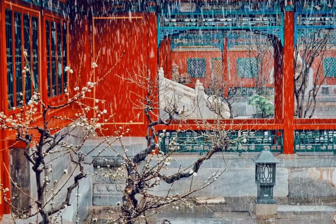 11-12月十大必去旅行地,12月高性价比的旅游地