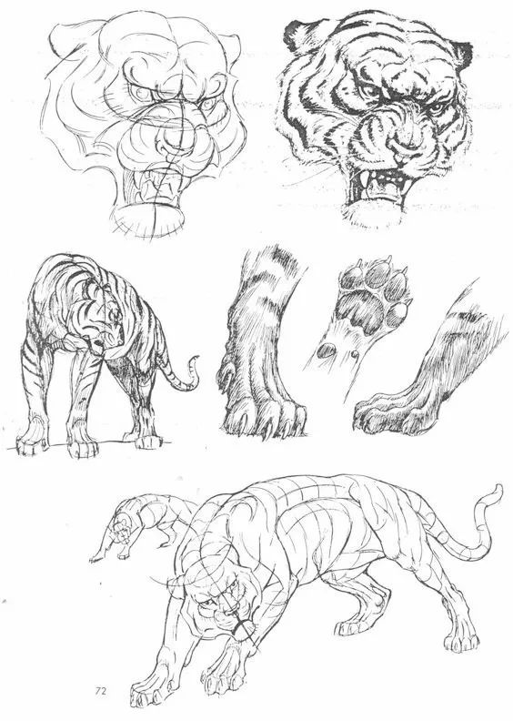 简笔画人物教程大全零基础成人,1000个适合零基础的简笔画教程