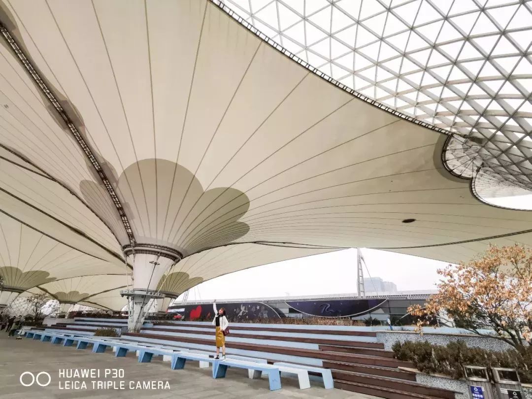 上海魔都最火网红,魔都网红打卡地