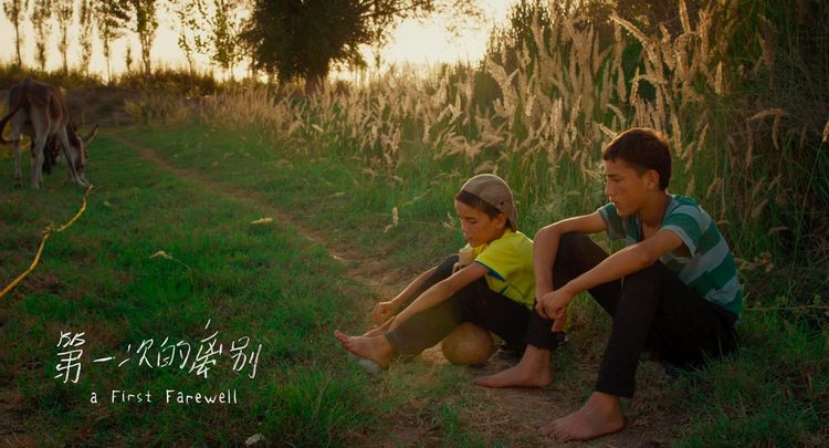 柏林苍穹下电影插曲,柏林苍穹下剧情解析