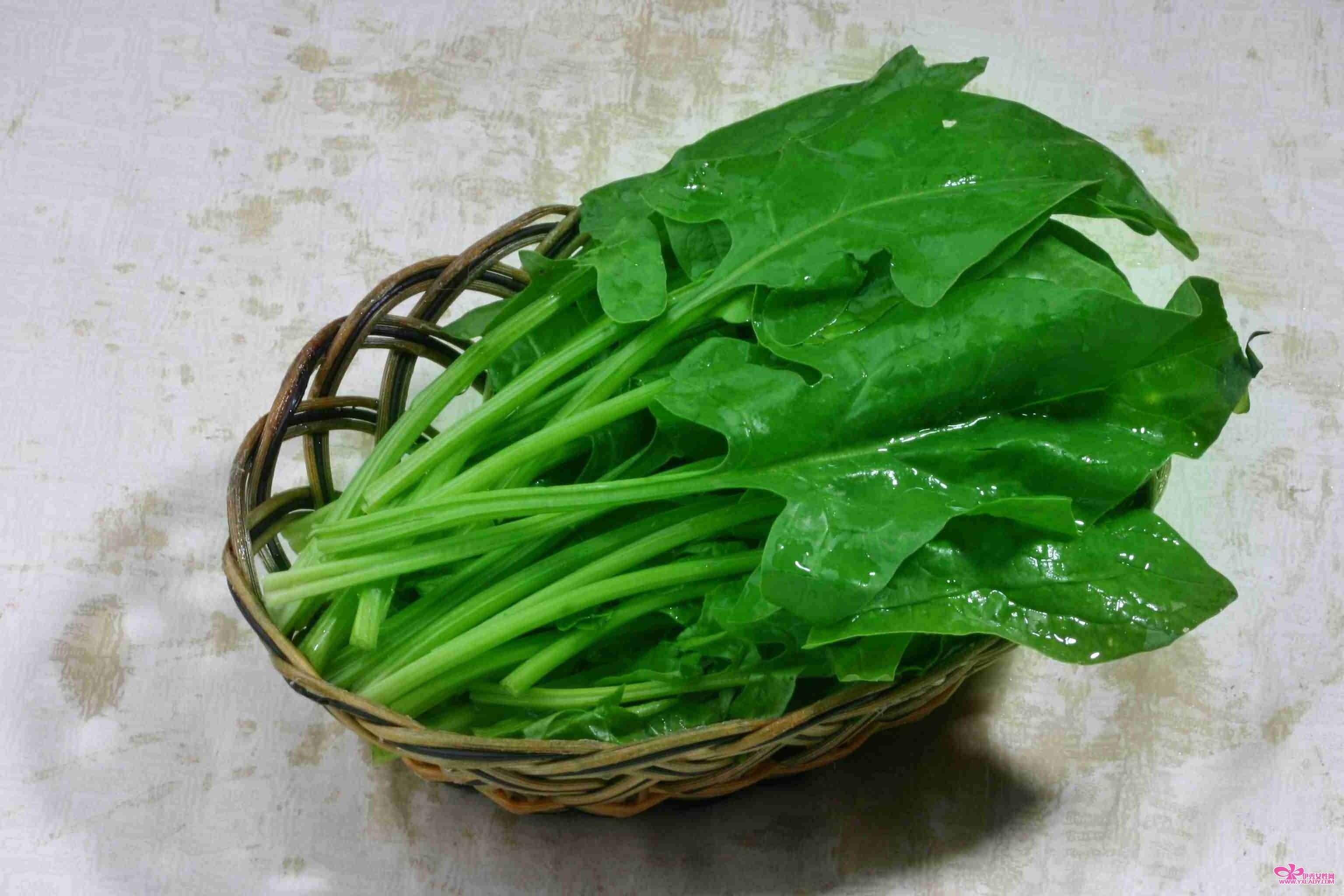 90后的日记吉他谱,90后的日漫女生