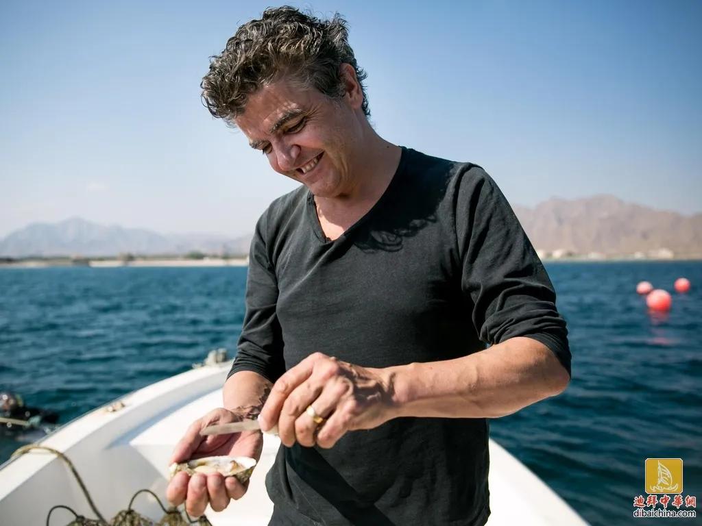 阿联酋的椰枣作用,阿联酋椰枣为什么那么甜