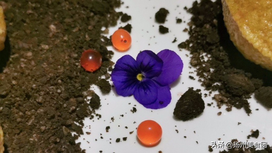 扬州哪家店夜里2点排队吃早茶,扬州哪个早茶店排队少