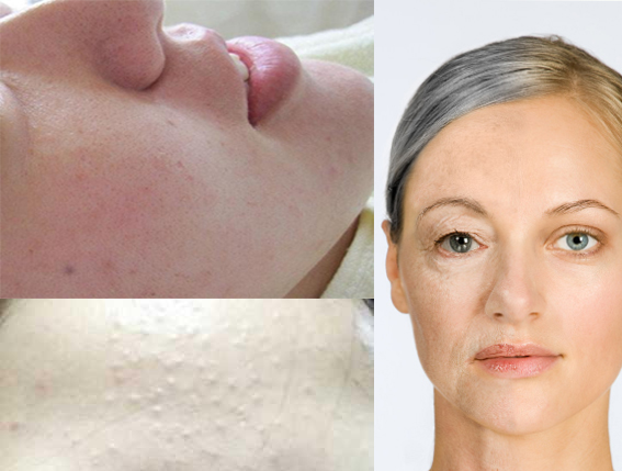 新西兰好健康山羊奶粉,新西兰的羊奶哪个牌子最好