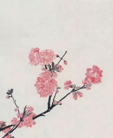 桃花的画法国画,小孩桃花画法国画