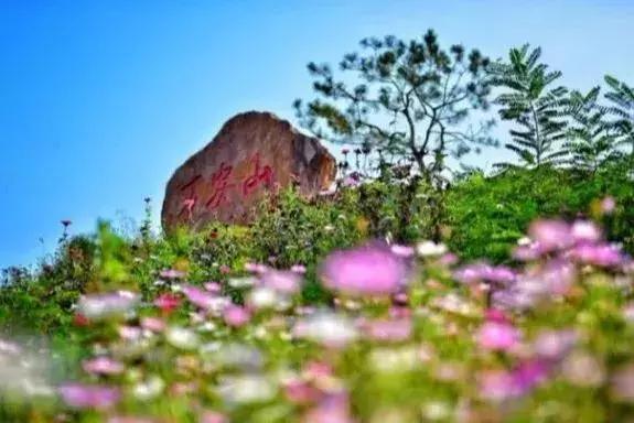 洛阳鹰嘴山沿黄公路自驾游攻略,洛阳旅游景点攻略最值得去的地方