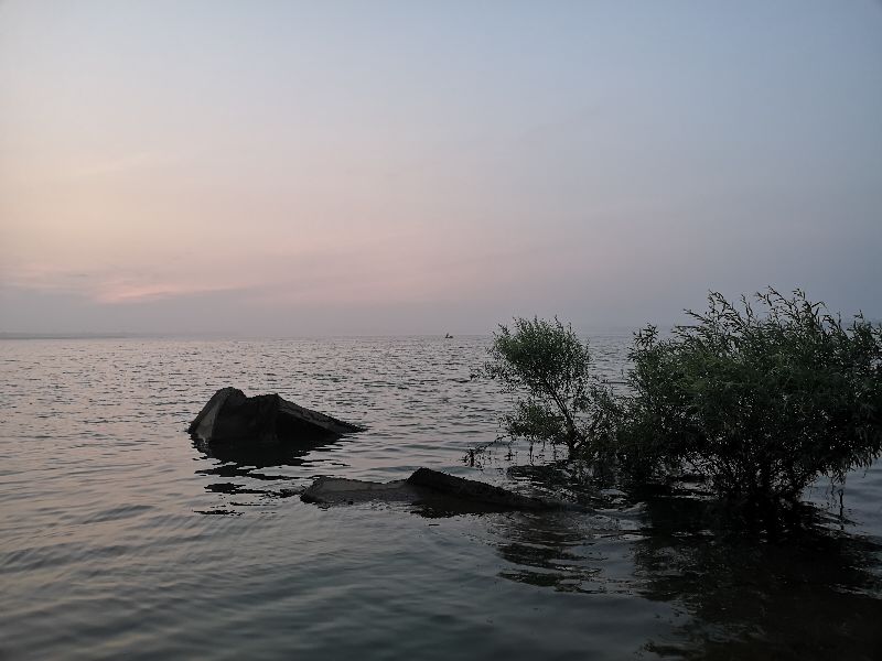 一味ex全能战比较,一味ex实测