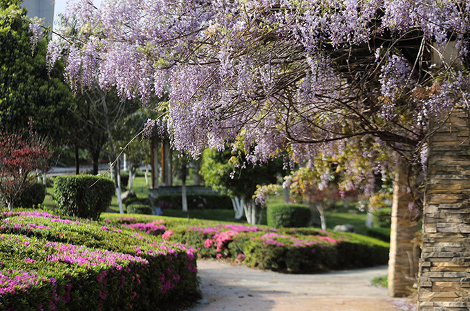 洱海旅游景点攻略,西安洱海旅游攻略必去景点