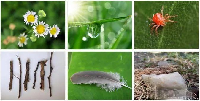 西九华山旅玩指南,2019年五月一日西九华山夏令营