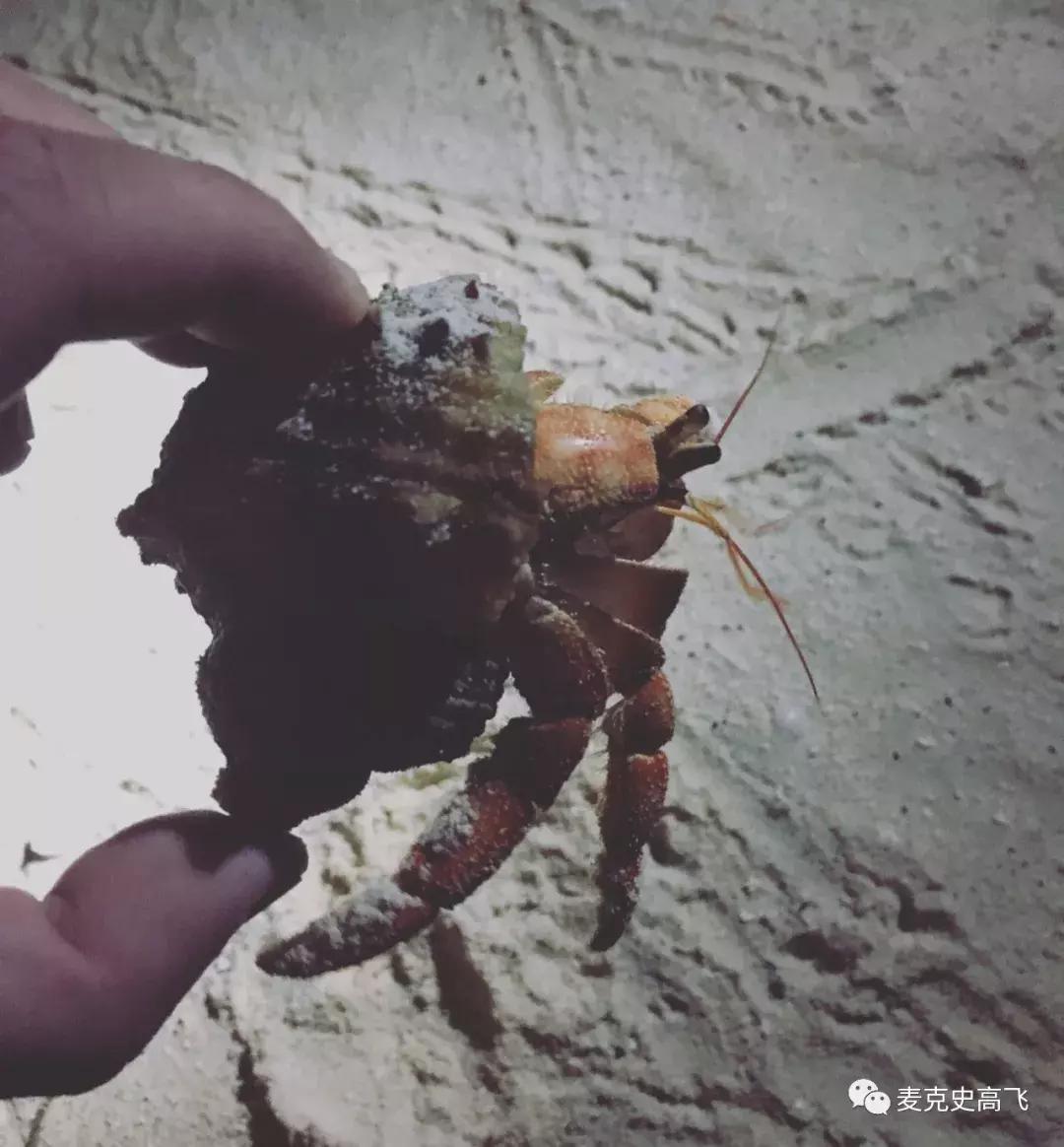 2000元玩马尔代夫,冷门又便宜马尔代夫