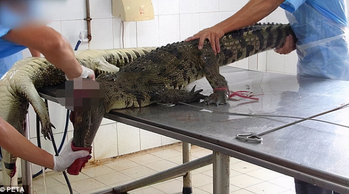 爱马仕消费20亿,爱马仕引网友质疑