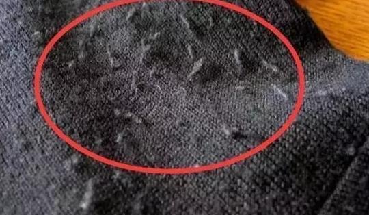 衣服洗完有毛絮怎么处理,衣服洗完了有毛怎么弄