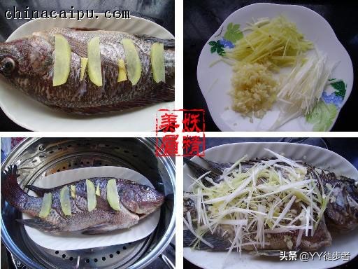 喜欢吃鱼的朋友们值得收藏,喜欢吃鱼的朋友一定要收藏