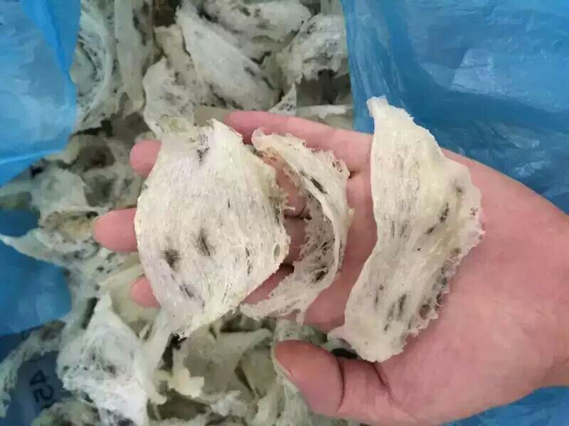 燕窝价格正宗燕窝多少钱一克,燕窝21元一克贵吗