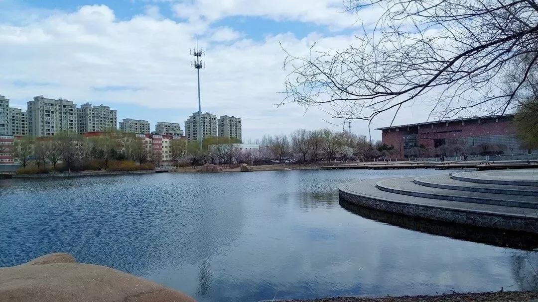 沈阳理工大学辽宁工程技术大学,沈阳理工大学专科院校