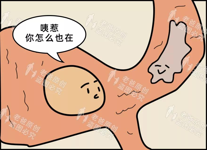 鸡蛋买回来好脏要不要洗一下,买回来的鸡蛋要不要清洗