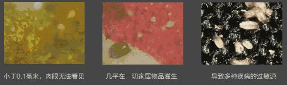 别再乱用清洁面膜了,如何正确洗脸既能白还能长痘