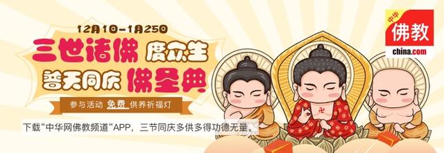 灭绝人性的三种动物实验,10种不怕死的动物