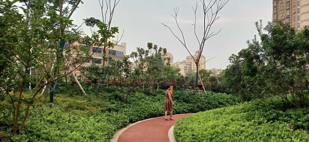 忆当初青春年少,再忆年少时已不再年少