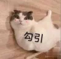 春节快递送什么最划算,过年快递买什么好一点