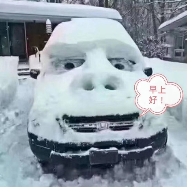 天山雪的现代诗歌,北国雪诗歌原文