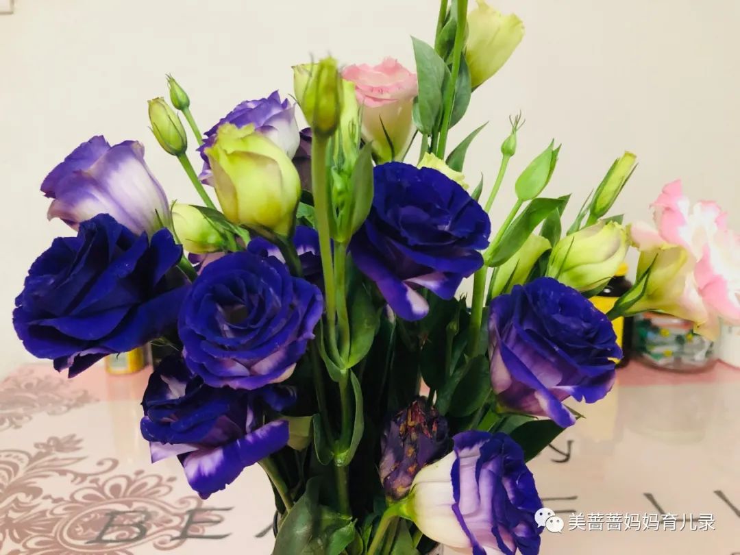 汉语拼音和英文字母有什么区别,英语字母与汉语拼音混淆