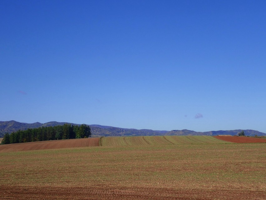 北海道登别到美瑛町需多久,日本北海道美瑛川的雪景