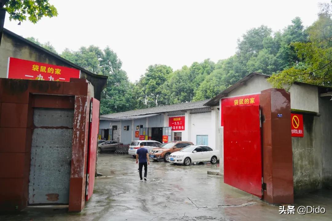 肉测评探店美食,成都临期超市