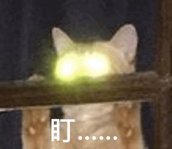 男生告白女生突然出现了,男生告白女生一口拒绝男生的反应