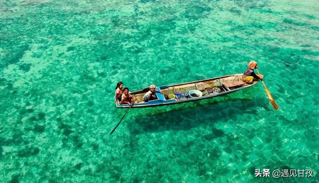 80个关于旅行的冷知识,80个冷知识视频大全