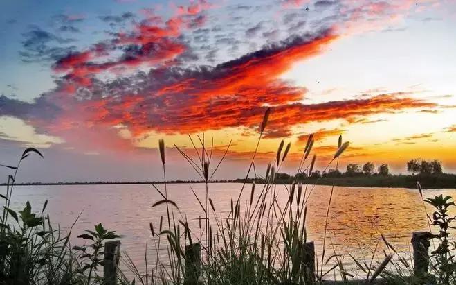 外交部全球推介天津,天津外交部全球推介活动