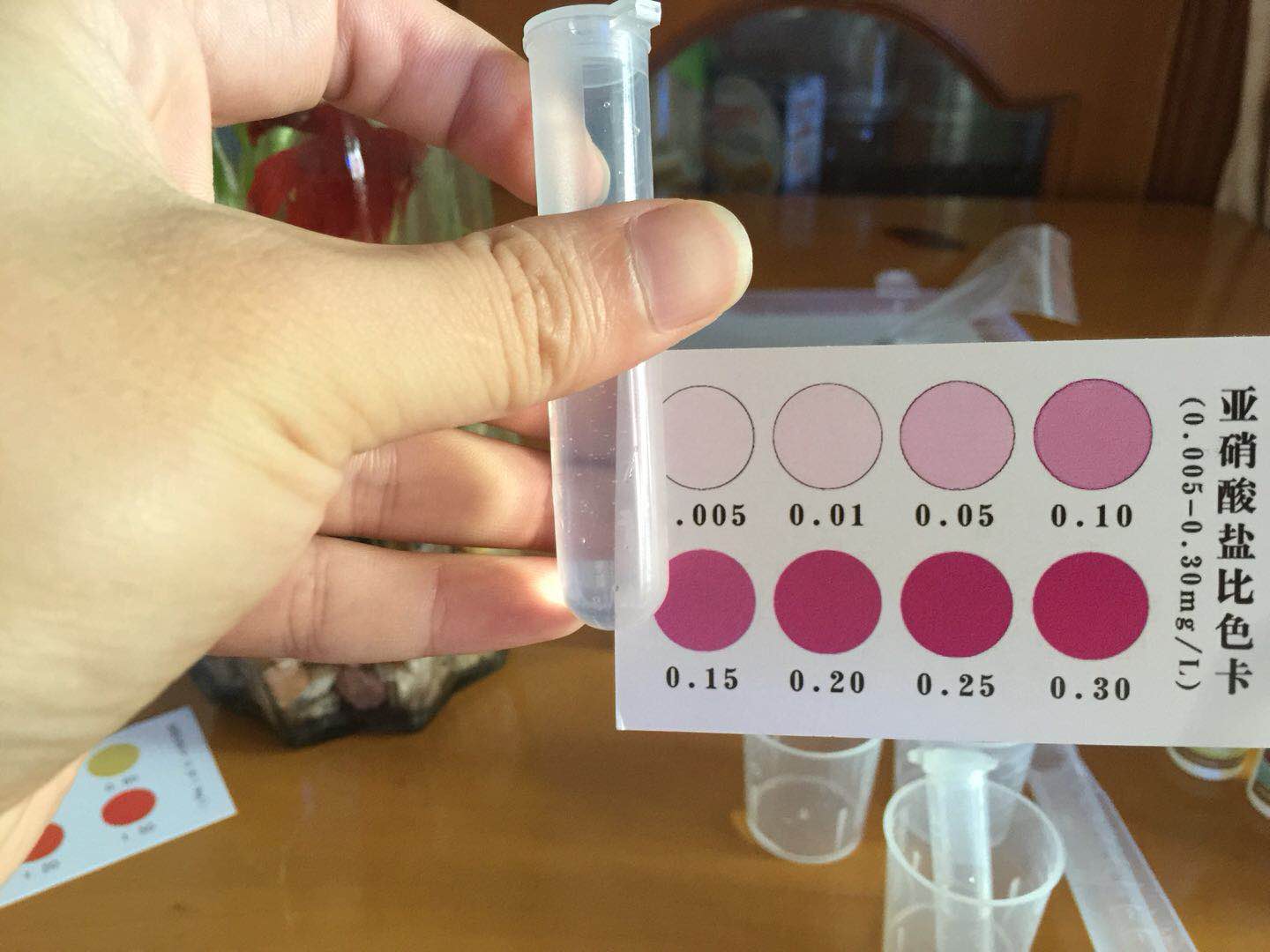 泰国斗鱼和绿萝一起养会死吗,怎么养水培绿萝才好看