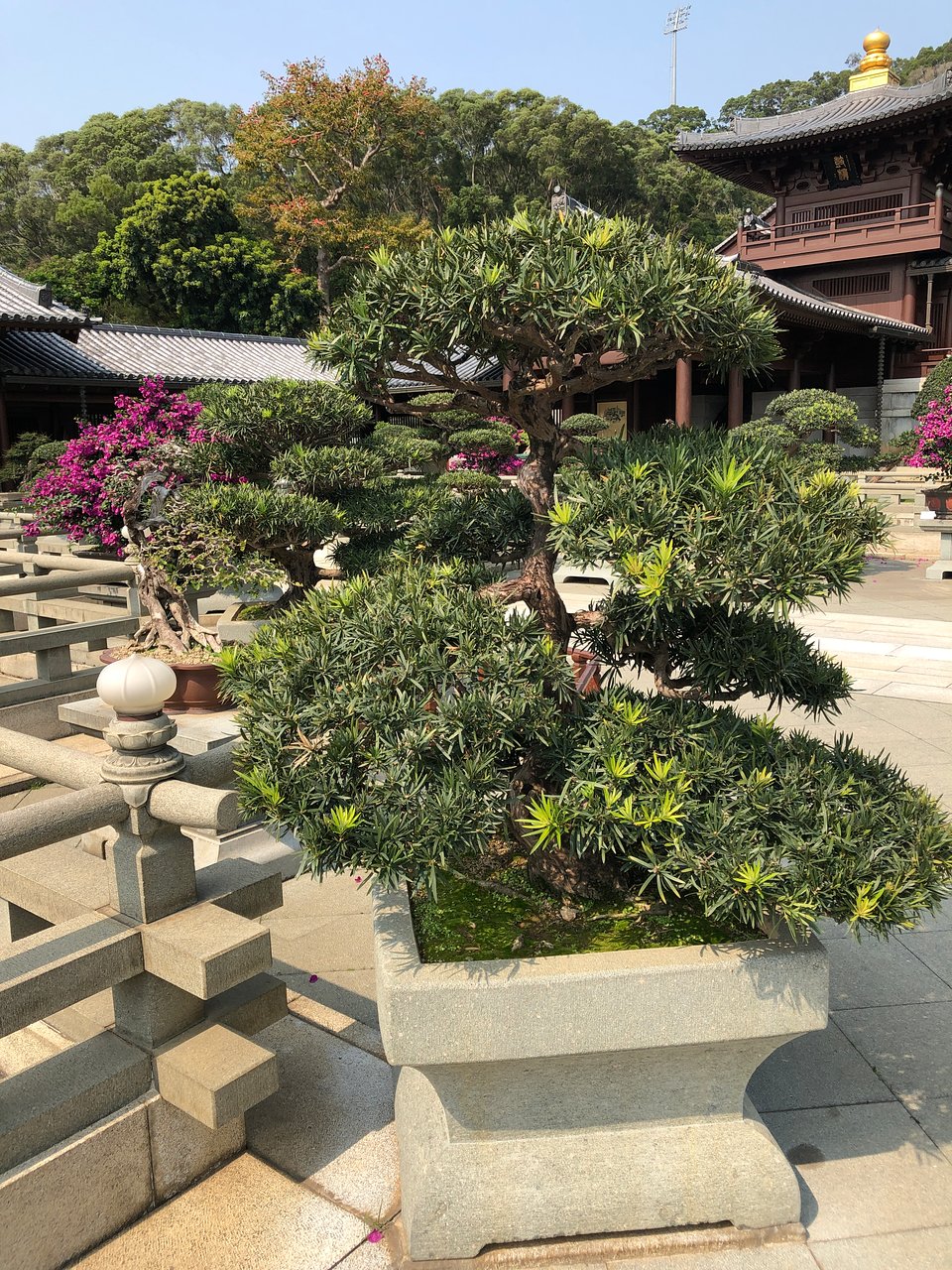 香港志莲净苑地图,香港志莲净苑好玩吗